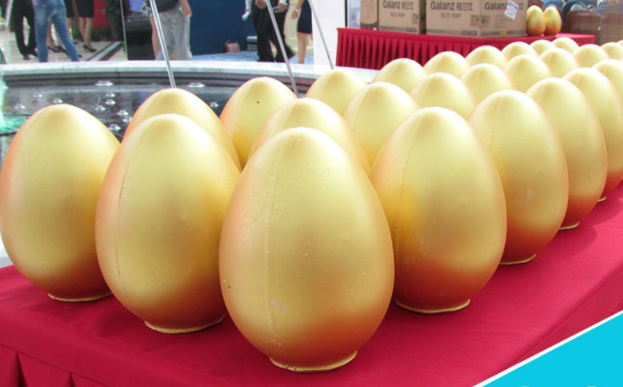 金蛋是证监会备案的理财产品