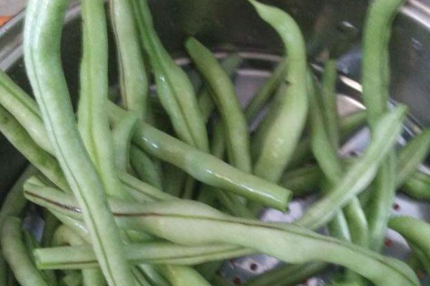 主机版豆角