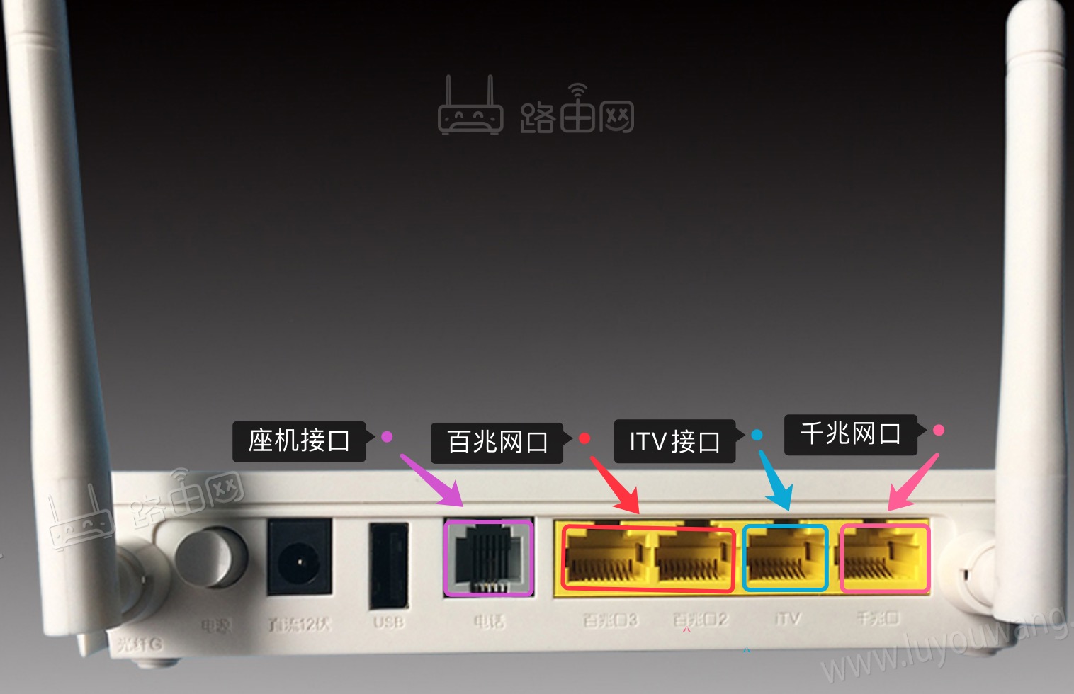猫能直接连接着主机吗