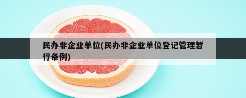 民办非企业单位章程备案
