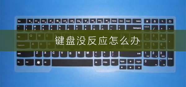 主机键盘栏没有怎么回事