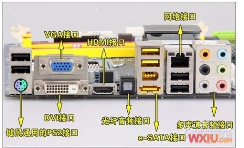主机后面独显插口