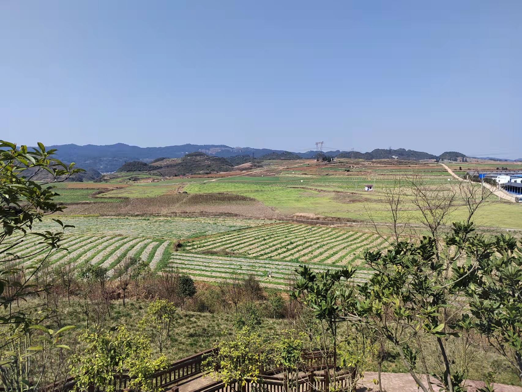 黔龙地产沙坎菜市场是否备案
