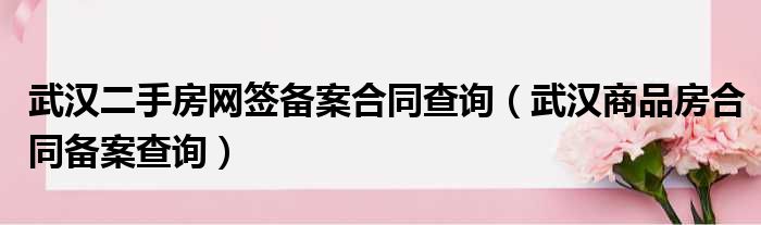 为什么武汉房产备案网打不开