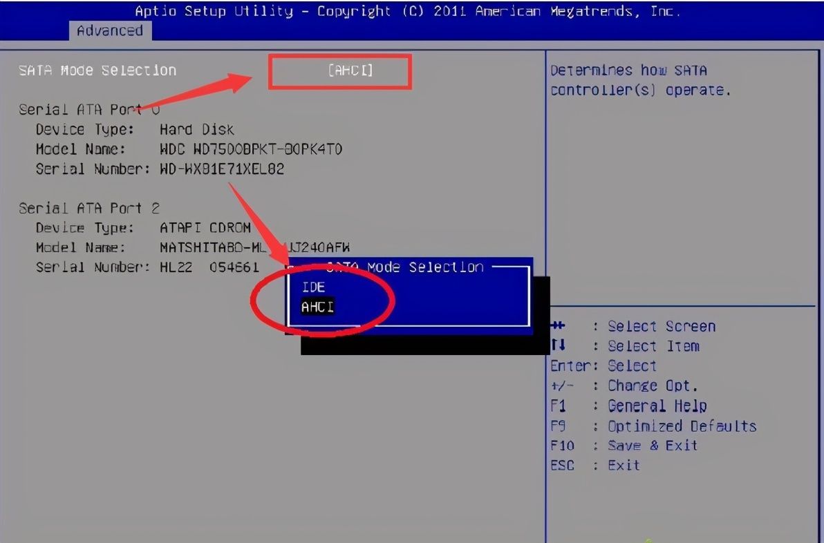 怎么找不到主机的硬盘