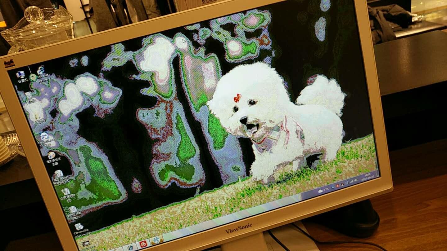 换主机显示器花屏
