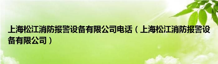 上海松江消防主机怎么消除火警