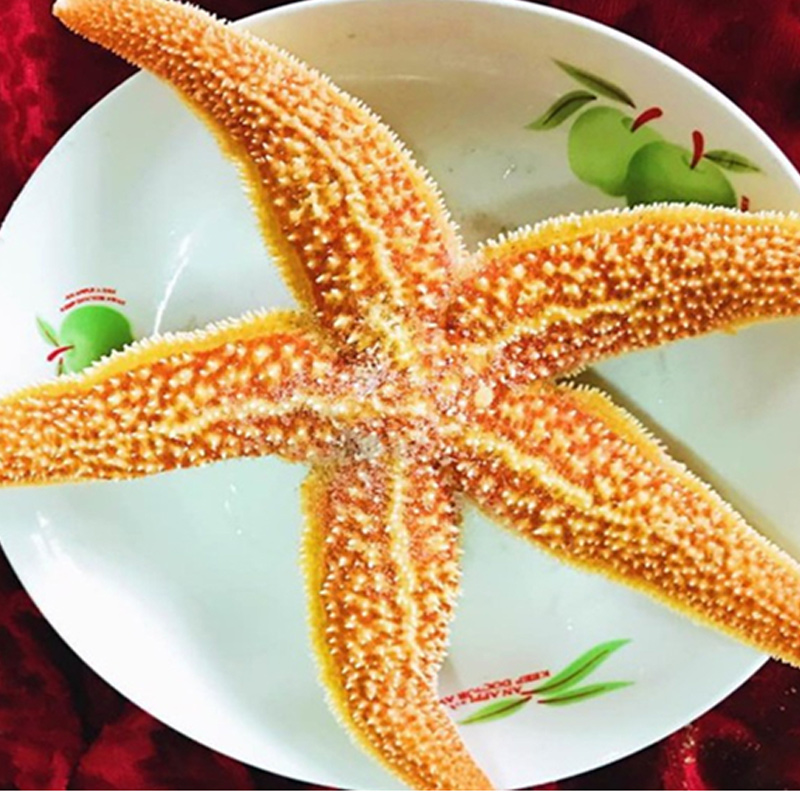 海星王主机