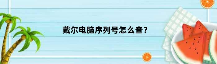 戴尔主机序列号在哪看