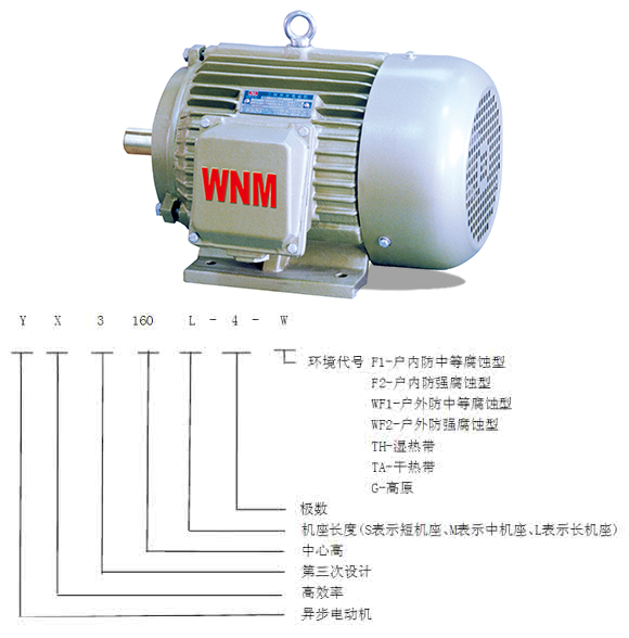 电厂主机选型