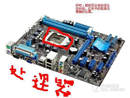 电脑处理器在主机在那个部位