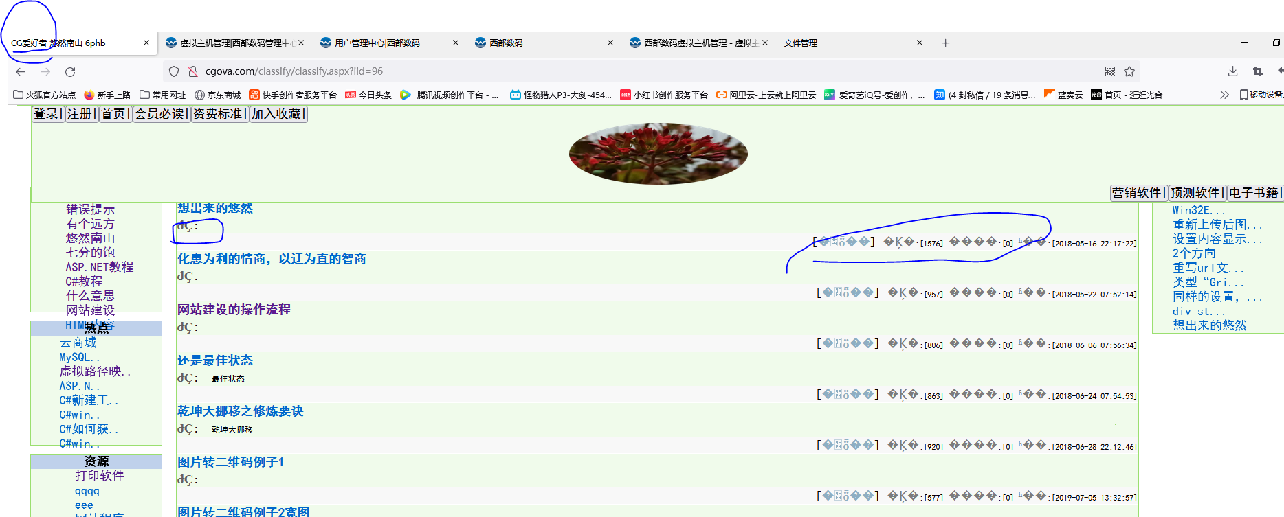 网站备案名称与实际名称不符