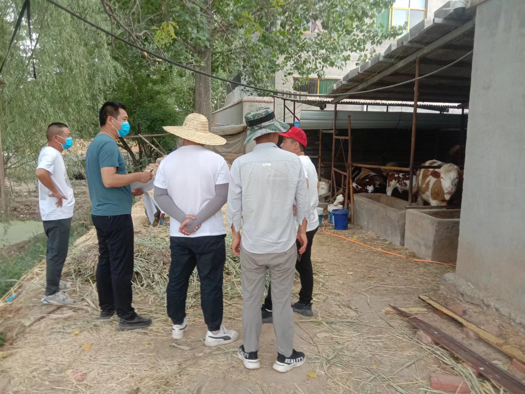 我市完成上半年畜禽养殖备案工作