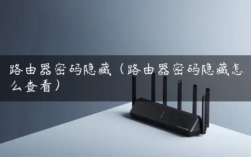 路由器里面匿名主机是什么意思