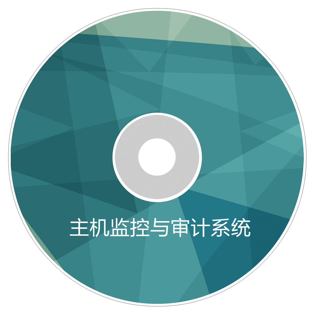 主机审计软件叫什么