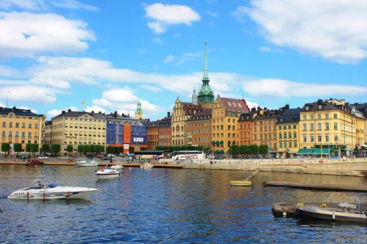 瑞典都有哪些主机厂