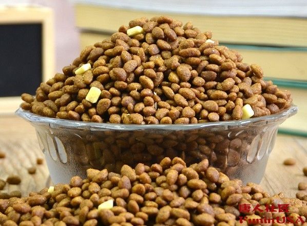 进口宠物饲料企业备案