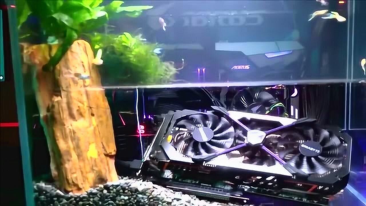 把主机放在鱼缸里